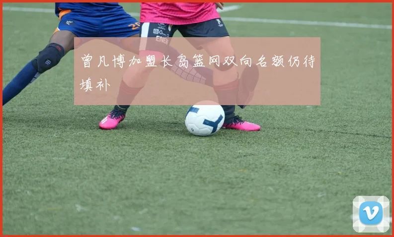 曾凡博加盟长岛篮网双向名额仍待填补