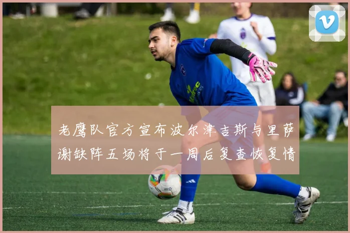 老鹰队官方宣布波尔津吉斯与里萨谢缺阵五场将于一周后复查恢复情况