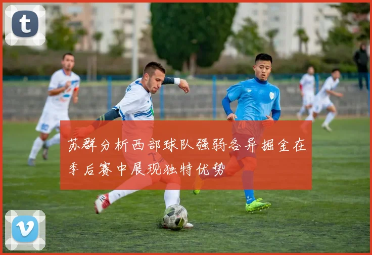 苏群分析西部球队强弱各异掘金在季后赛中展现独特优势